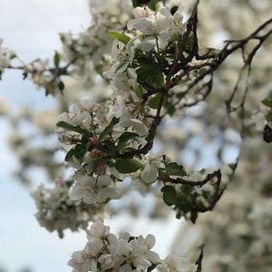 Meet your Posher, Quan